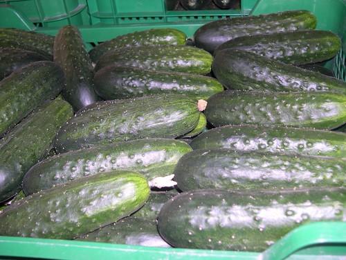 Pepino y tomate, únicos productos que experimentan un repunte de precio