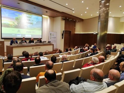 Más de 3.000 horas de sol en la Región sitúan la energía fotovoltaica como motor del regadío