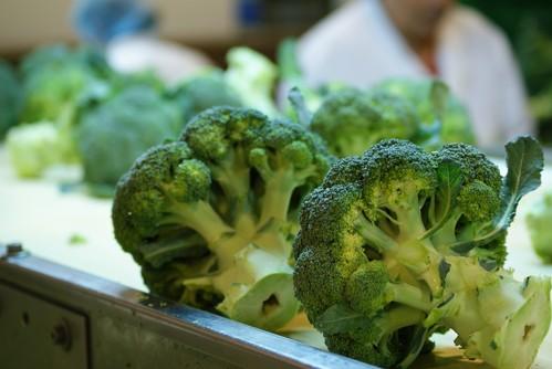 ¡El tronco no se tira! Razones para aprovechar el tronco del brócoli