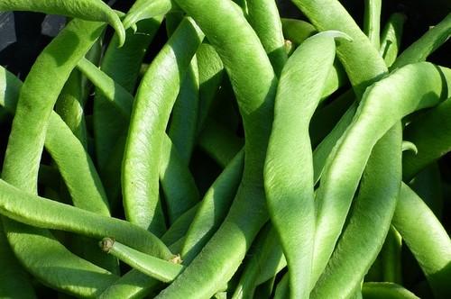 La judía y el pepino protagonizan los crecimientos de cotización esta semana