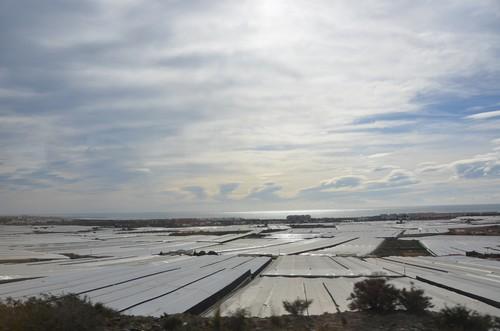 El Ministerio de Agricultura, Pesca y Alimentación publica la Guía del Seguro Agrario para el año 2019