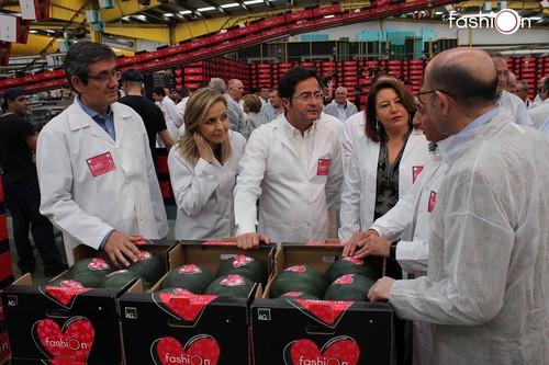 Grupo AGF da el pistoletazo de salida a la campaña de sandía Fashion 2019