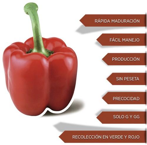 Superficie de california rojo temprano: ¡Crecer o no crecer, es la cuestión!