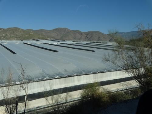 La Consejería pone en marcha un plan para reestructurar y modernizar las Oficinas Comarcarles Agrarias