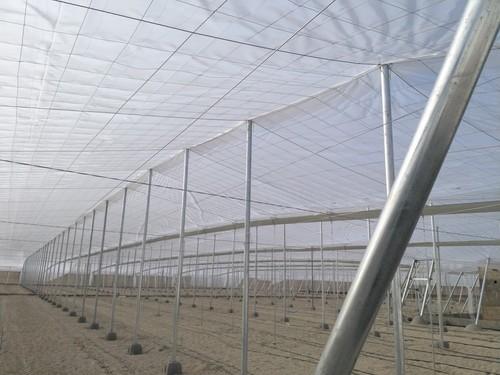 Politiv Europa presenta sus nuevas líneas de plástico para Almería en la feria