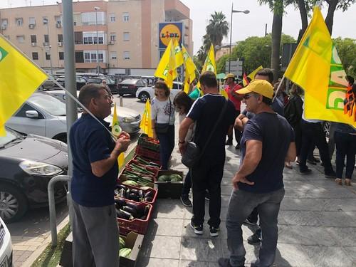 El Ministerio da carpetazo a las peticiones del sector en la corrección de errores de la Orden de módulos