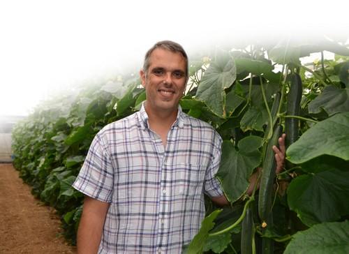 Forami RZ hace más fuerte a ‘blueleaf’  con su resistencia a fusarium