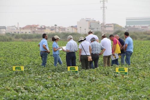 Fitó muestra sus soluciones para completar el ciclo de producción en todos los segmentos de melón