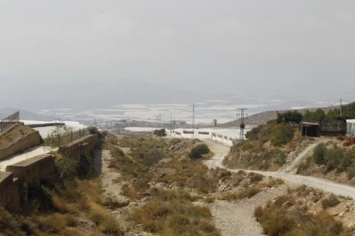 Agricultura unifica la base normativa para las líneas de ayuda del Programa de Desarrollo Rural de Andalucía