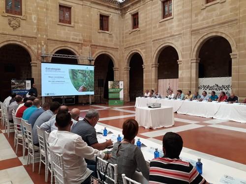 ASCENZA apuesta por el olivar con nuevas soluciones en su jornada estratégica en Baeza