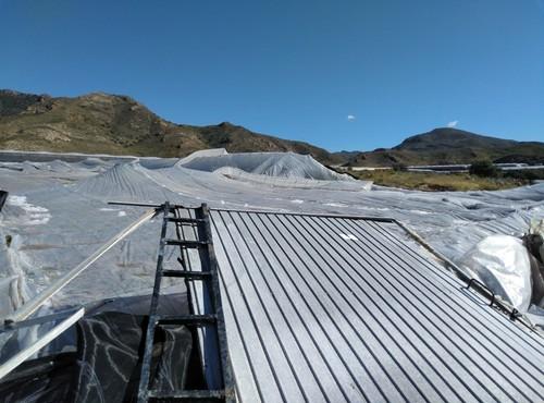 El Colegio Oficial de Ingenieros Técnicos Agrícolas de Almería hace recomendaciones ante el temporal previsto