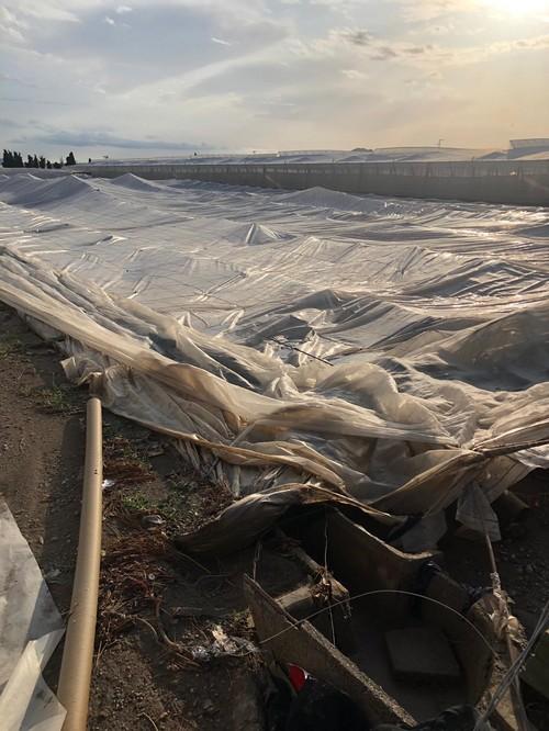 El fuerte temporal de lluvias en Almería causa graves daños en la agricultura