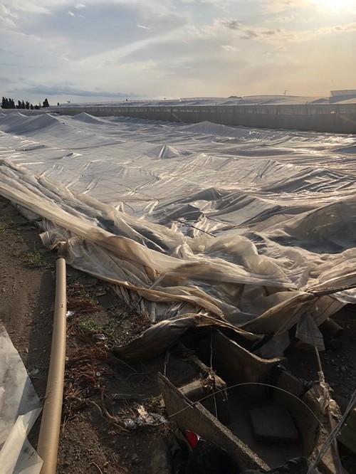 COAG Andalucía pide ayudas financieras y fiscales urgentes para los agricultores afectados por la DANA