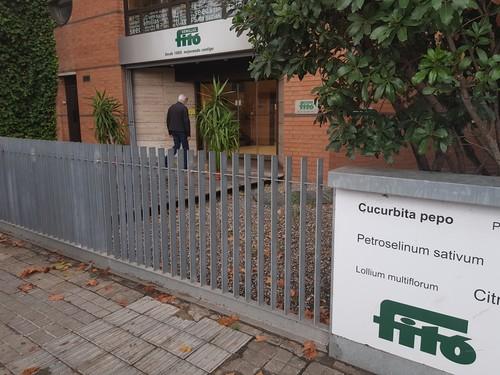 Fitó refuerza sus controles para garantizar la producción de semillas libres de patógenos