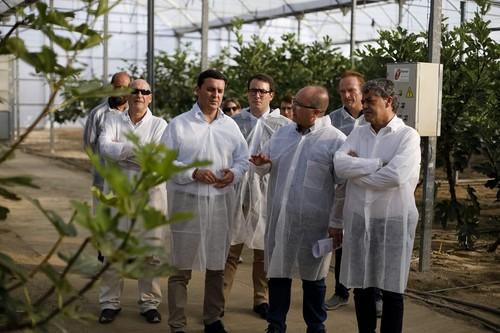 UAL y Diputación impulsan el primer cultivo sostenible de higueras bajo plástico