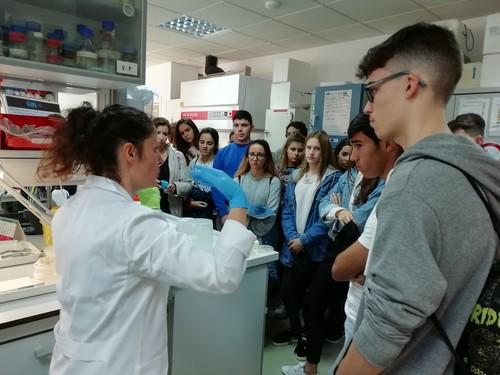 Los expertos del Ifapa se suman a la celebración de la Semana de la Ciencia, que se celebra del 4 al 17 de noviembre