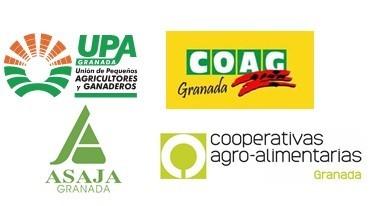 Granada también se movilizará para denunciar la inactividad de las Administraciones ante el estado crítico del sector hortofrutícola