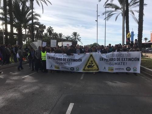 El PITA apoya a los agricultores y comercializadoras en la jornada de paro por la crisis estructural del sector