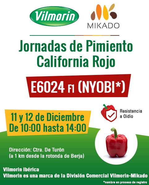 Vilmorin organiza unas jornadas para presentar su pimiento California rojo E6024 F1 (NYOBI*)