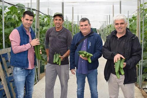 Ramiro Arnedo amplía su catálogo  de primavera para ofrecer semilla todo el año