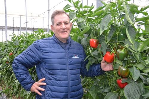 “Con Claque RZ tengo la seguridad de que la variedad va a seguir cuajando incluso con blanqueo y hace frente a los excesos de temperatura”