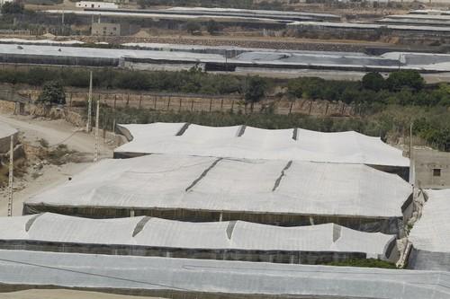 Agricultura amplía en 2,7 millones las ayudas para la mejora de invernaderos en Andalucía