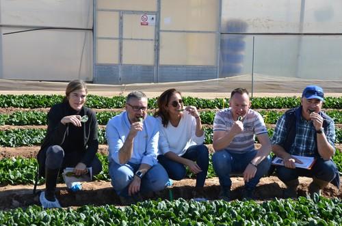 Nunhems presenta su nueva gama para supermercados y los ensayos de recolección mecanizada