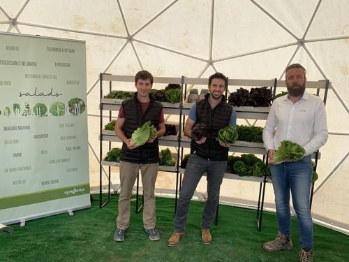 La innovación en cultivos de hoja, pieza clave para la sostenibilidad productiva y ambiental de este sector