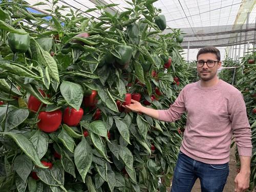 El California rojo de Top Seeds Galiano marca diferencias con muy buenos cuajes y calidad en una campaña más cálida de lo habitual
