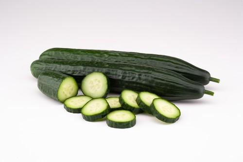 Tesoro, el pepino largo que despega ‘como un cohete’ permitiendo reducir los costes de producción