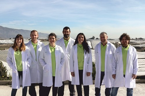 Meridiem Seeds lleva a cabo actualmente tres grandes proyectos de investigación en lechuga