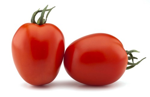 Nunhems® ‘perfecciona’ calidad de fruto  y suma resistencias en los distintos cultivos