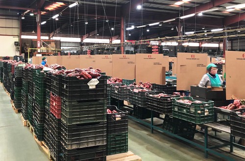 La Unión Corp gratifica con 200€ el esfuerzo de su plantilla en el COVID19