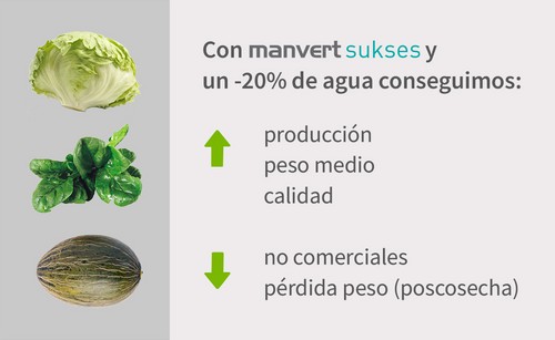 Nueva solución manvert que combate los efectos del estrés hídrico