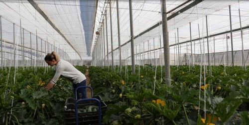 ASAJA recuerda que profesionales del sector agrario pueden acogerse a la ayudas para los autónomos de la Junta
