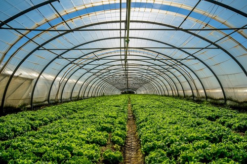  Ifapa lidera una investigación para mejorar la producción bajo invernadero con sistemas pasivos de calefacción y refrigeración
