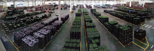 Grupo Agroponiente continúa con una actividad comercial normalizada e incrementa sus ventas durante la crisis del COVID19