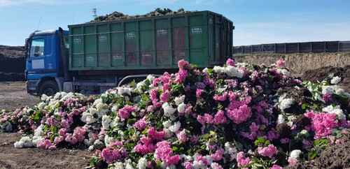 El sector de planta ornamental pide que se abran centros de jardinería y floristerías