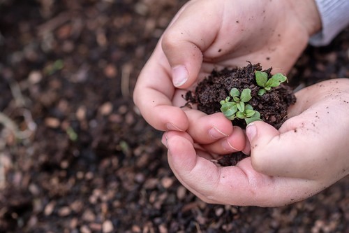 ANOVE, orgullosa de formar parte del sector agrario y agradecida por el compromiso demostrado