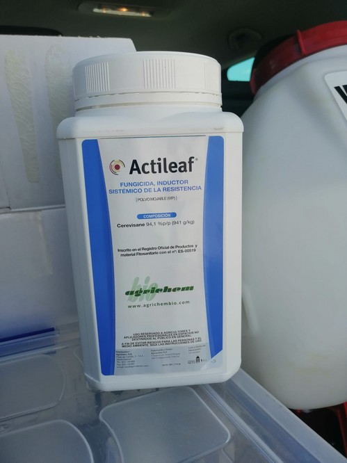 Agrichembio ®lanza al mercado Actileaf® y Polyversum para garantizar el control de enfermedades