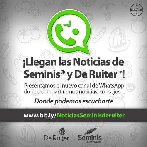 Seminis y De Ruiter, más cerca aún del agricultor a través de un grupo de Whatsapp