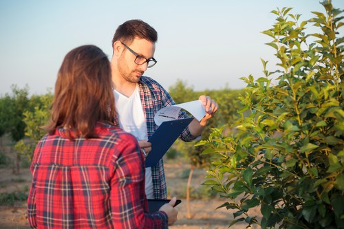 GLOBALG.A.P. ofrece información sobre el COVID-19 y la inocuidad alimentaria