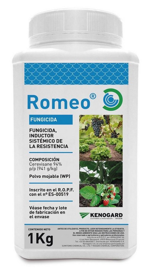 Kenogard invita al sector de la uva de mesa a conocer online el efecto fungicida y protector de Romeo en esta fruta