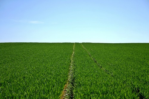 El Gobierno andaluz destina más de 3 millones al Plan de Fomento de Empleo Agrario de 2020 en Almería