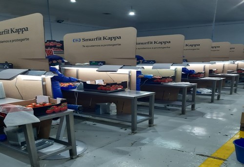 Smurfit Kappa lanza una gama de soluciones para ayudar a empresas y centros educativos a restablecer su actividad
