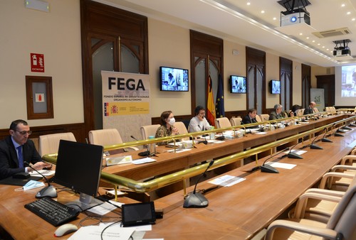 Planas aborda con las comunidades autónomas los principales asuntos del próximo Consejo de Ministros de la UE