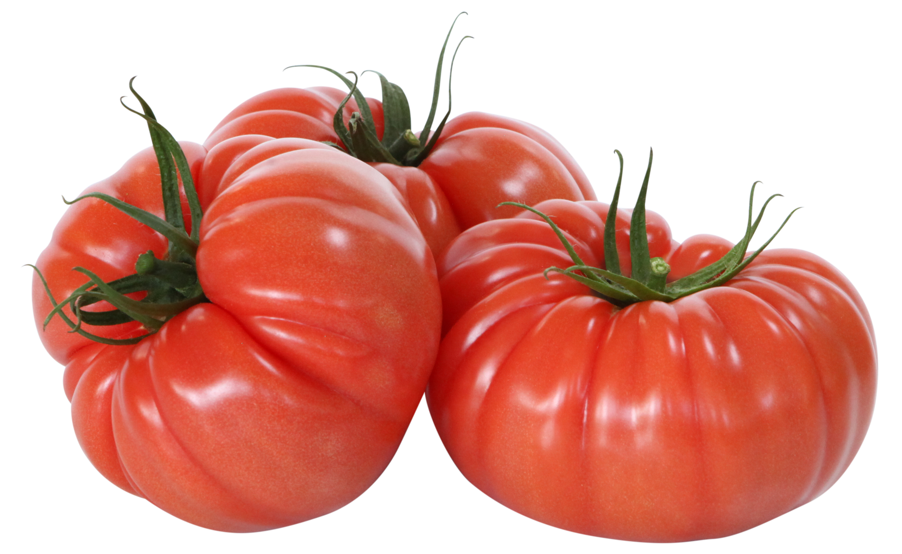 La gama de tomates marmande de Yuksel Seeds asegura al consumidor la mejor calidad