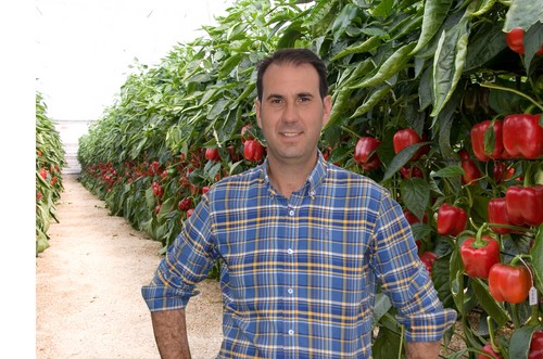 “Arabesca RZ es espectacular por las clasificaciones en la cooperativa por la calidad de fruto así como por su peso”