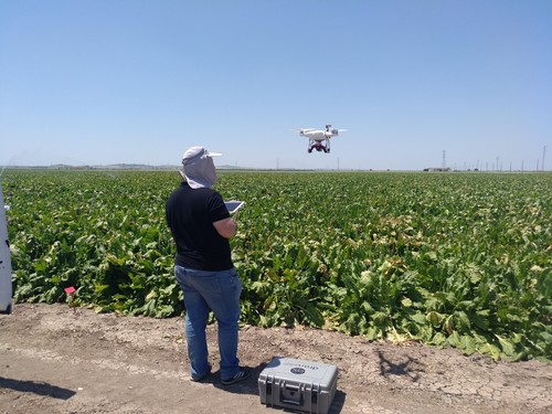 El dron, un aliado que ya es imprescindible en la investigación agronómica andaluza