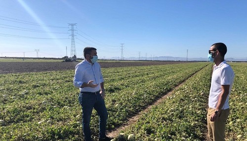 El consejero de Agricultura visita la zona más afectada por el granizo del lunes y cifra los daños en más de 7 millones de euros
